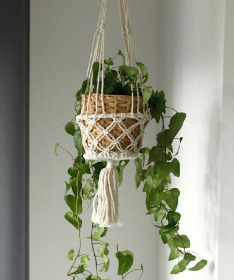 Indoor Hanging Plant Holder