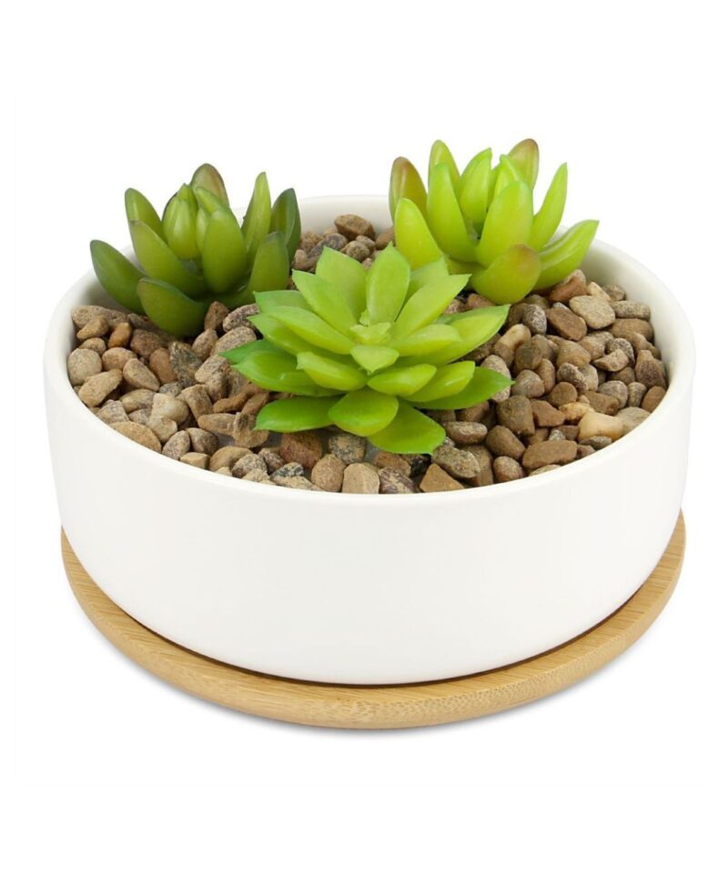 Ceramic Succulents Planter With Bamboo Base - Image 2