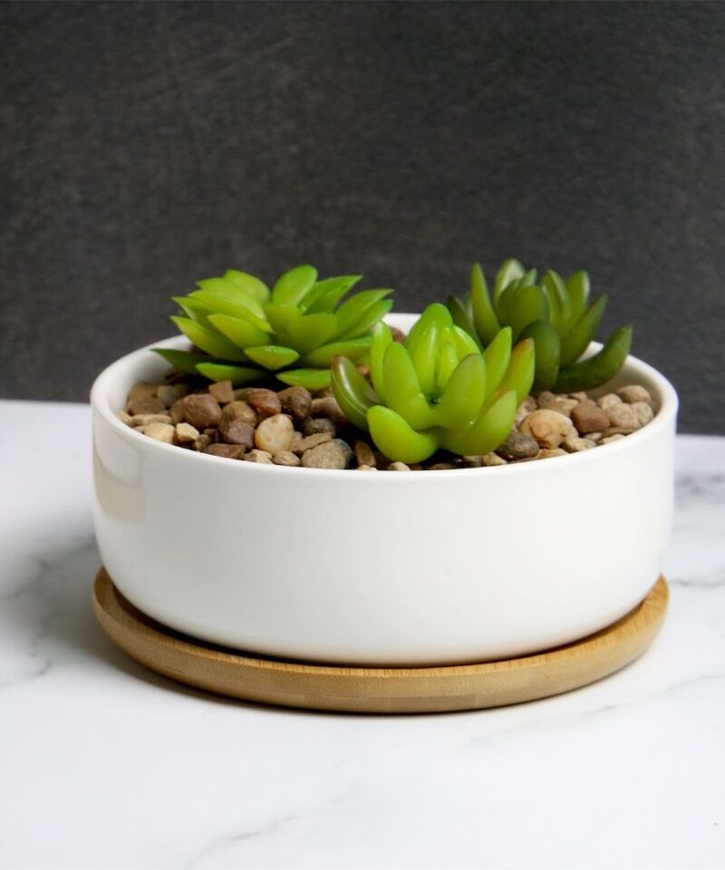 Ceramic Succulents Planter With Bamboo Base