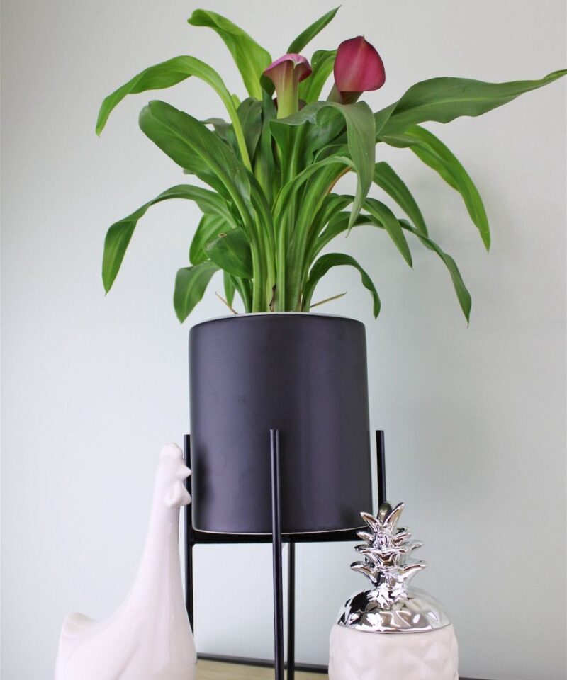 Black Ceramic Planter With Metal Stand - Image 2